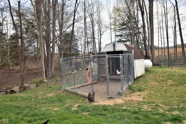 view of poultry coop featuring a yard and fence | Image 52