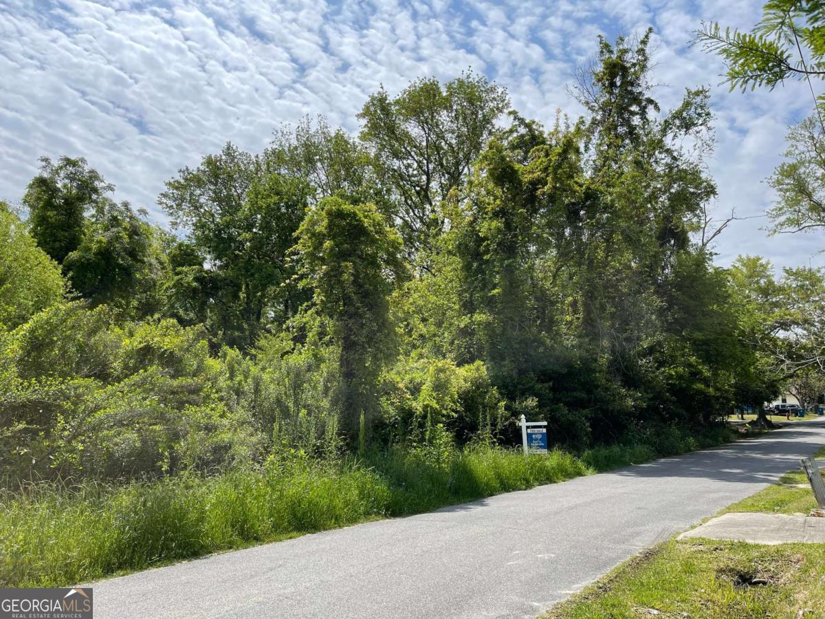 Land in Vidalia 4