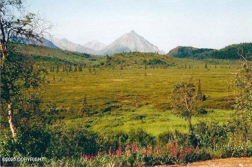 L2 Purinton Creek Trail, Chickaloon, AK, 99674 | Card Image