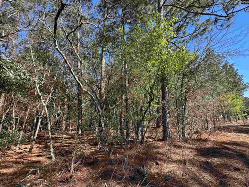 Lot 9 Mimosa Dr, Gaston, SC, 29053 | Card Image