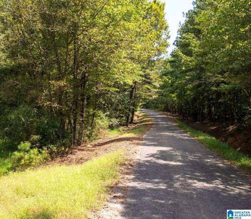 62-acres-62 ACRES Toney Drive, Altoona, AL, 35952 | Card Image