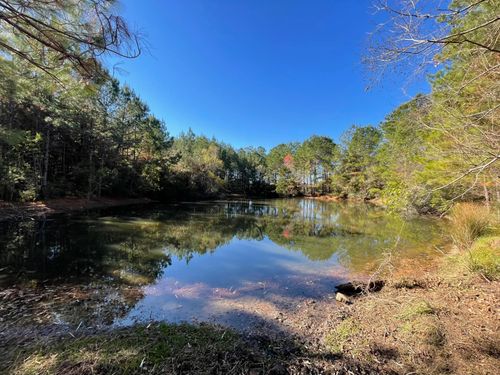 Lot 1 E Fm 942, Corrigan, TX, 75934 | Card Image