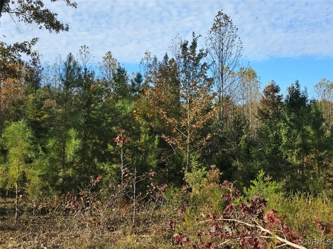 View of nature | Image 4