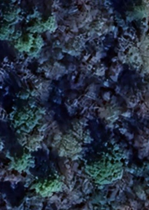 0 Tammany Ln, Trinity, TX, 75862 | Card Image