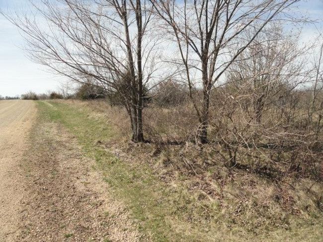 10.45 Acres Ringhand Rd, Home with 0 bedrooms, 0 bathrooms and null parking in SYLVESTER WI | Image 19