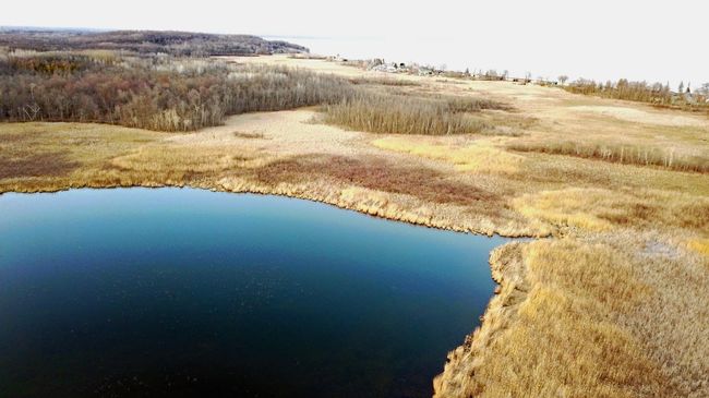 Smith lake.jpg | Image 12