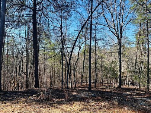 LOT 20 Crown Mountain Way, Dahlonega, GA, 30533 | Card Image