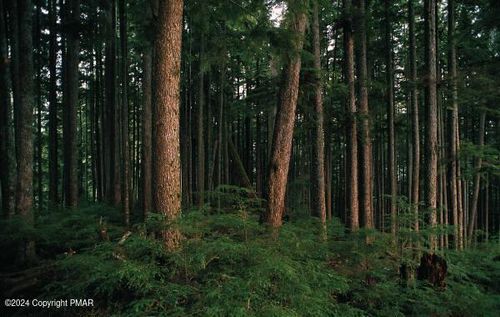 605 Mountain Rd, Blakeslee, PA, 18610-7942 | Card Image