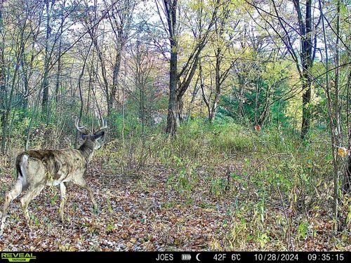 334 State Route 314, Centerburg, OH, 43011-9603 | Card Image