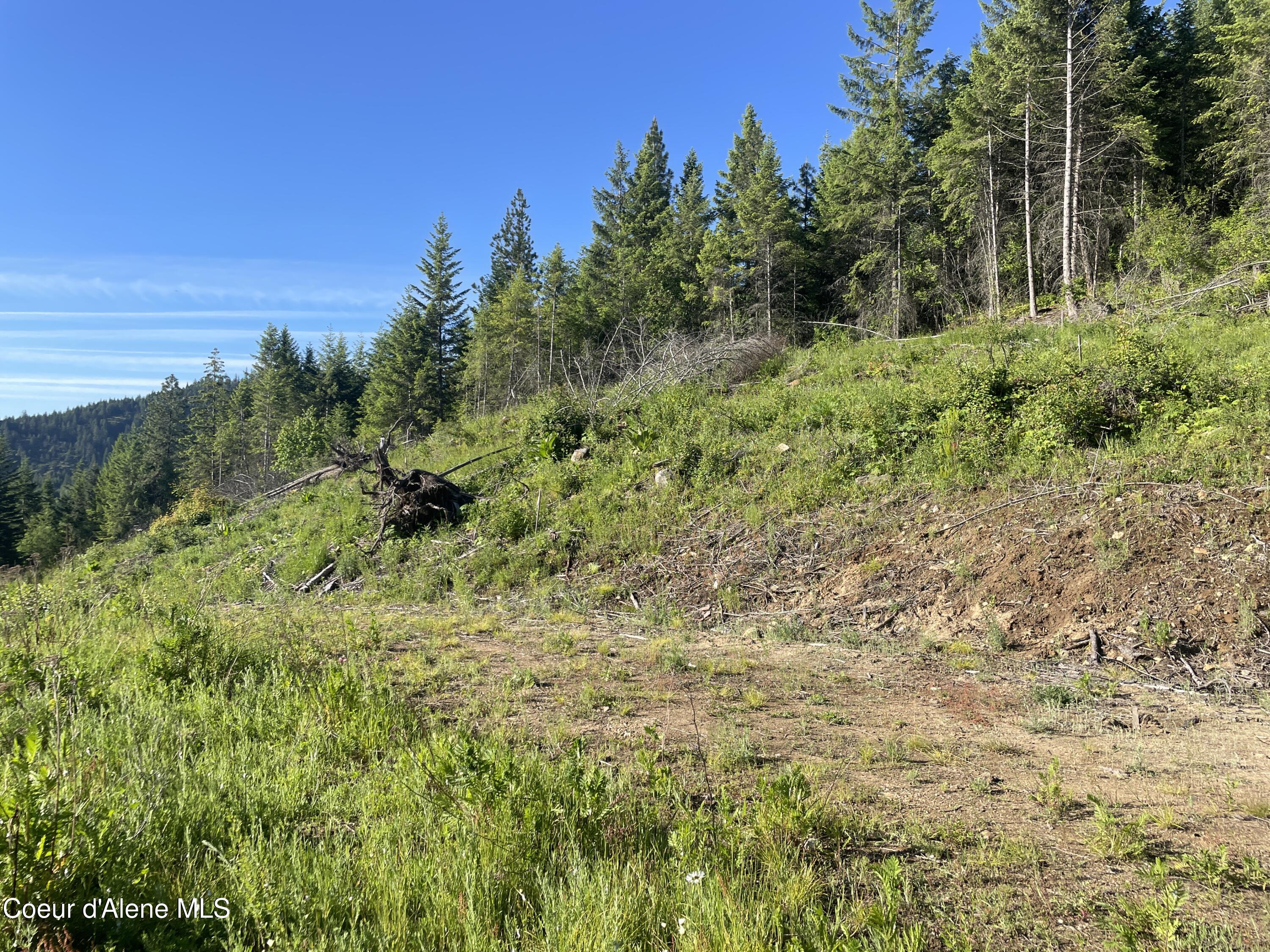 Land in Priest River 5