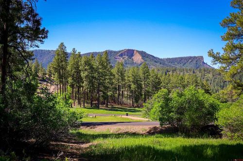 379 Ironwood Dr, Pagosa Springs, CO, 81147-9066 | Card Image