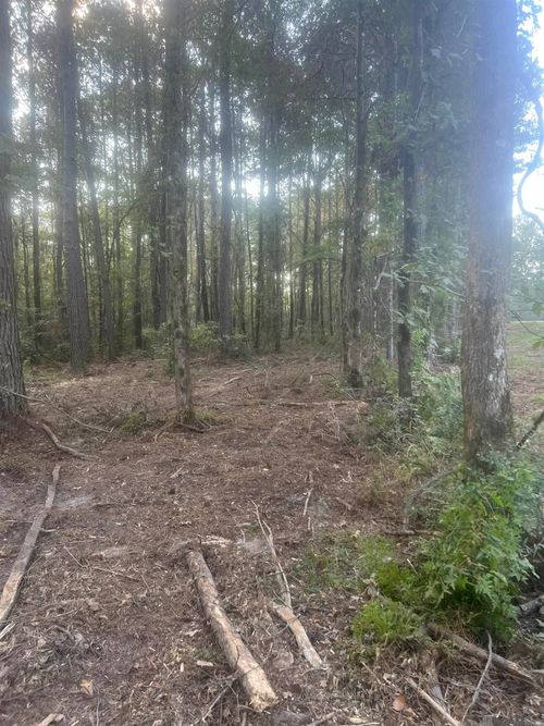 TBD-B2 Highway 10, Clinton, LA, 70722 | Card Image