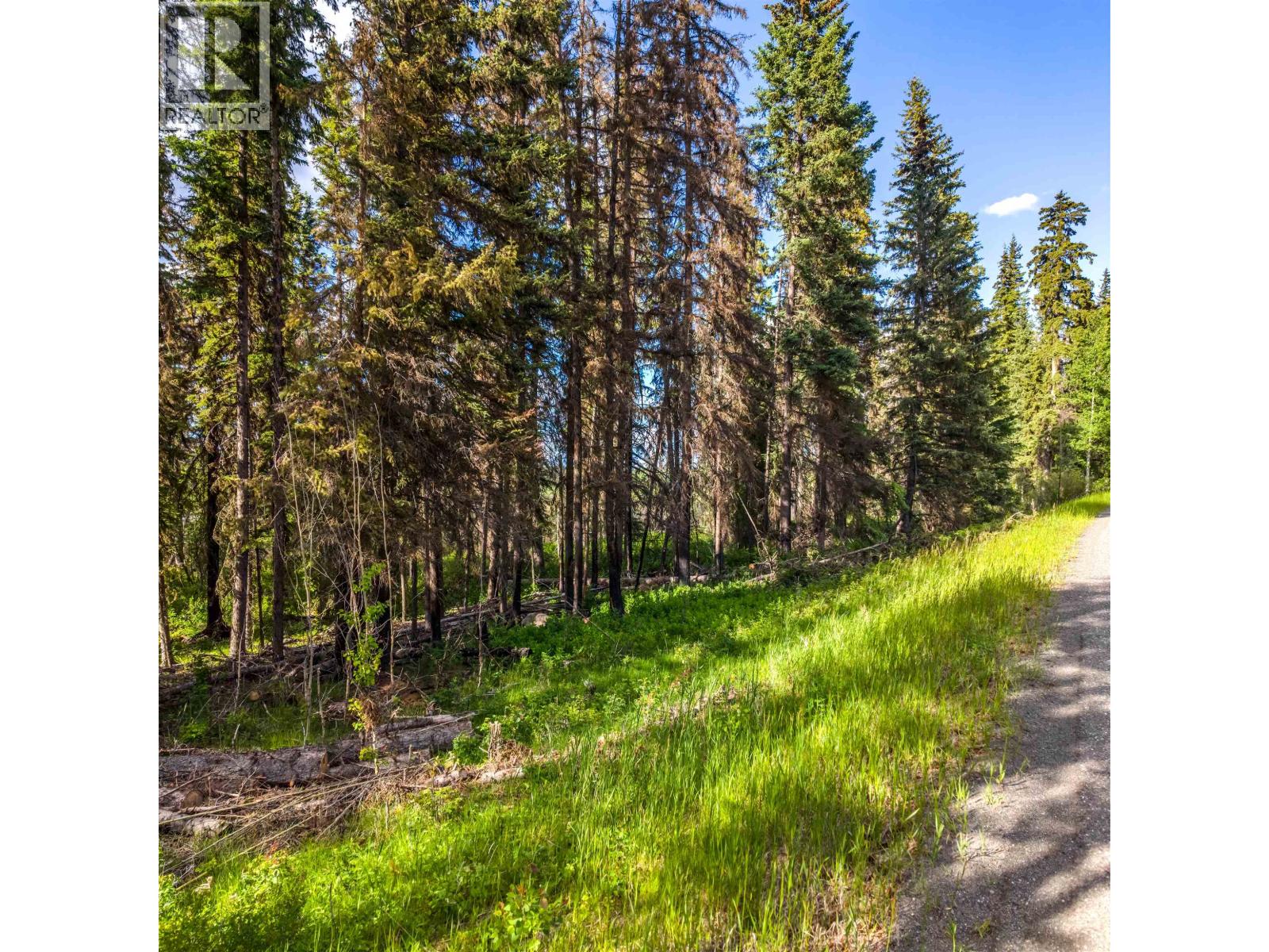 Land in Horse Lake 4