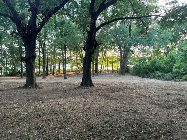 Lot 340 Grand View Dr, Home with 0 bedrooms, 0 bathrooms and null parking in Athens TX | Image 18