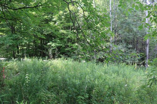 223 Deming Rd, Enosburg Falls, VT, 05450-5101 | Card Image