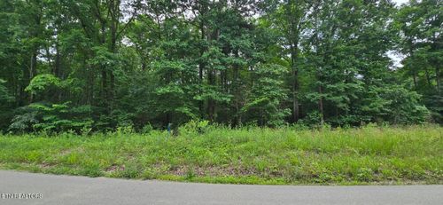Lot 48-49 Bear Creek Rd, Winfield, TN, 37892 | Card Image