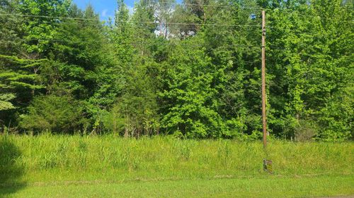 487 Fairway Dr, Saulsbury, TN, 38067 | Card Image
