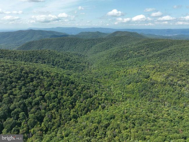 Lot 3 Price Ridge Rd, Home with 0 bedrooms, 0 bathrooms and null parking in STANLEY VA | Image 13