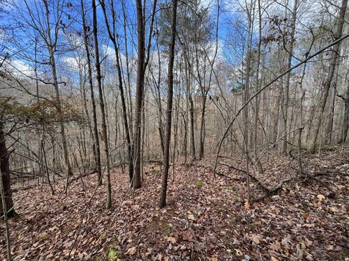 0 Smyrna Road, Evensville, TN, 37332 | Card Image