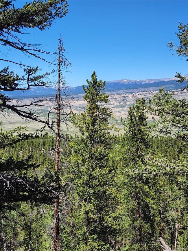 332 Mount Elbert Dr, Home with 0 bedrooms, 0 bathrooms and null parking in Twin Lakes CO | Image 5