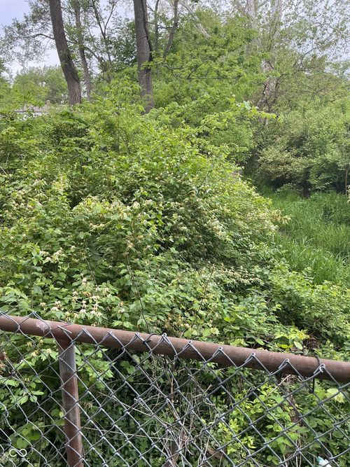 1943 N Dequincy St, Indianapolis, IN, 46218-4633 | Card Image