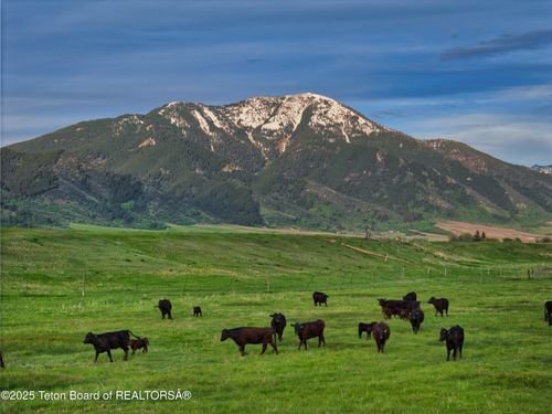 536 Ranger Station Rd, Swan Valley, ID, 83449 | Card Image