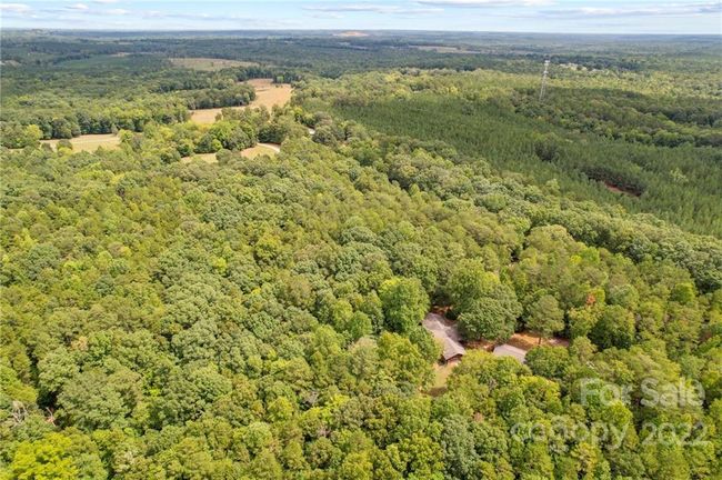 PRIVATE 38 ACRES | Image 29