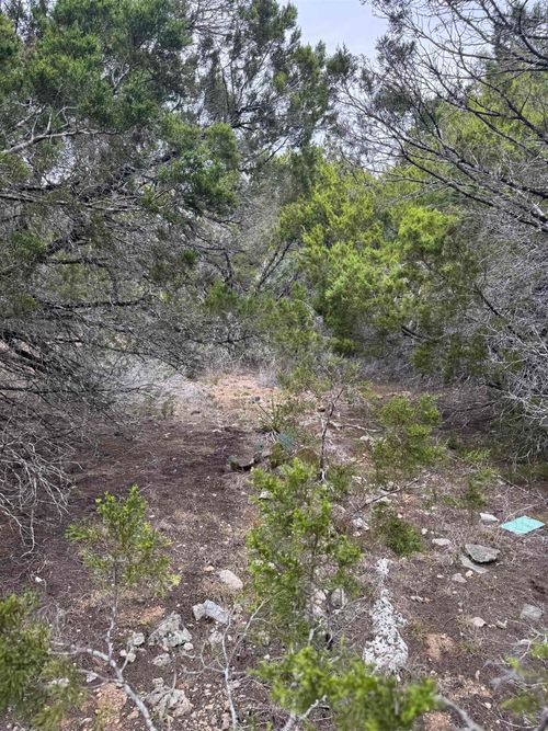 20204 Lewis Cv, Lago Vista, TX, 78645 | Card Image