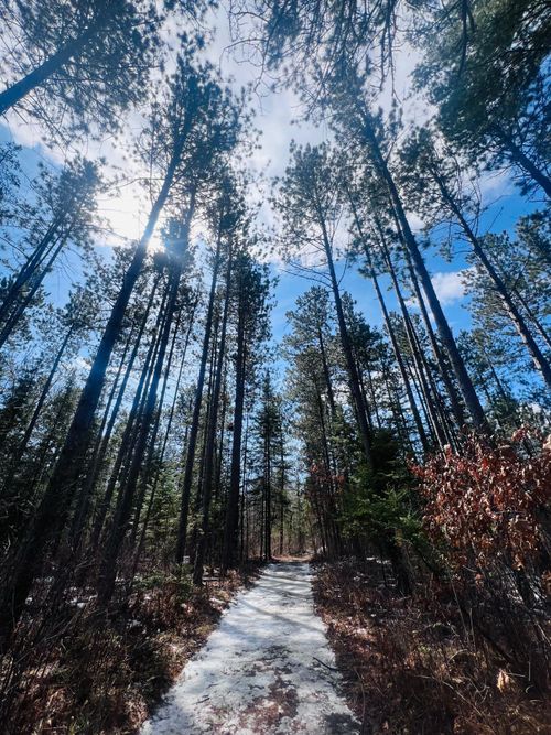 TBD County Road 4, Talmoon, MN, 56637 | Card Image