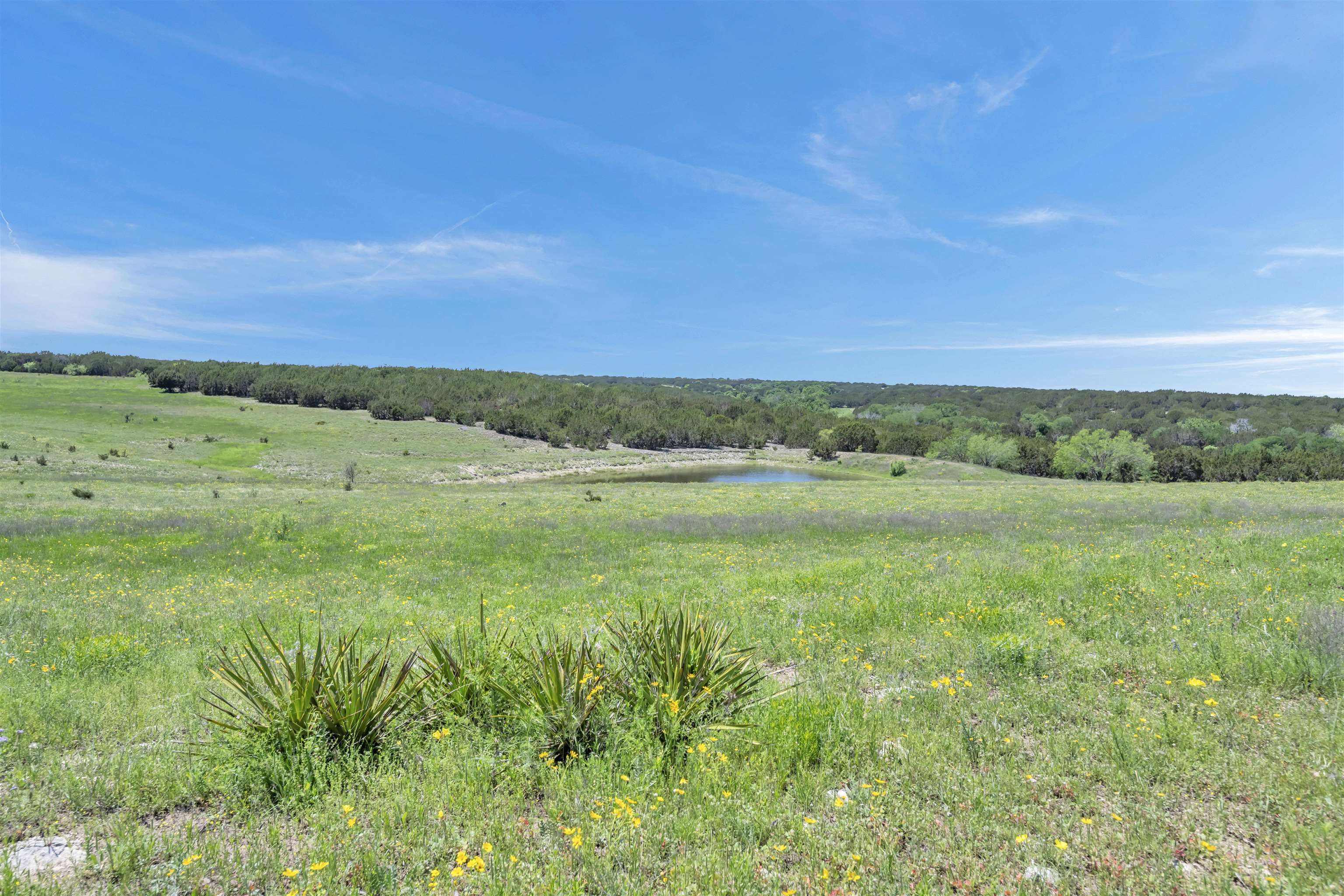 Farm in Burnet 2