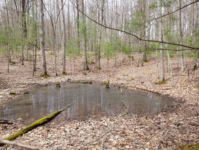 15 W 12 Mile Rd, Home with 0 bedrooms, 0 bathrooms and null parking in Irons MI | Image 8