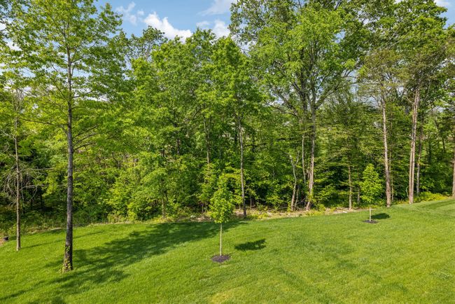 8876 Edgecomb Dr, House other with 6 bedrooms, 10 bathrooms and 3 parking in College Grove TN | Image 83