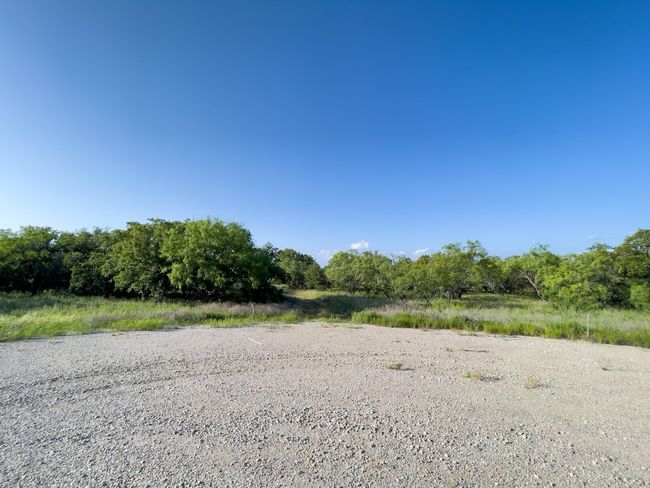 View of local wilderness | Image 12