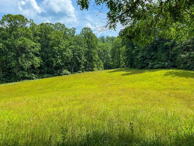 2486 Laurel Fork Rd, Home with 0 bedrooms, 0 bathrooms and null parking in Rocky Gap VA | Image 35