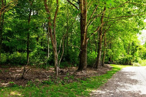TBD Bent Rd, Meadows of Dan, VA, 24120 | Card Image