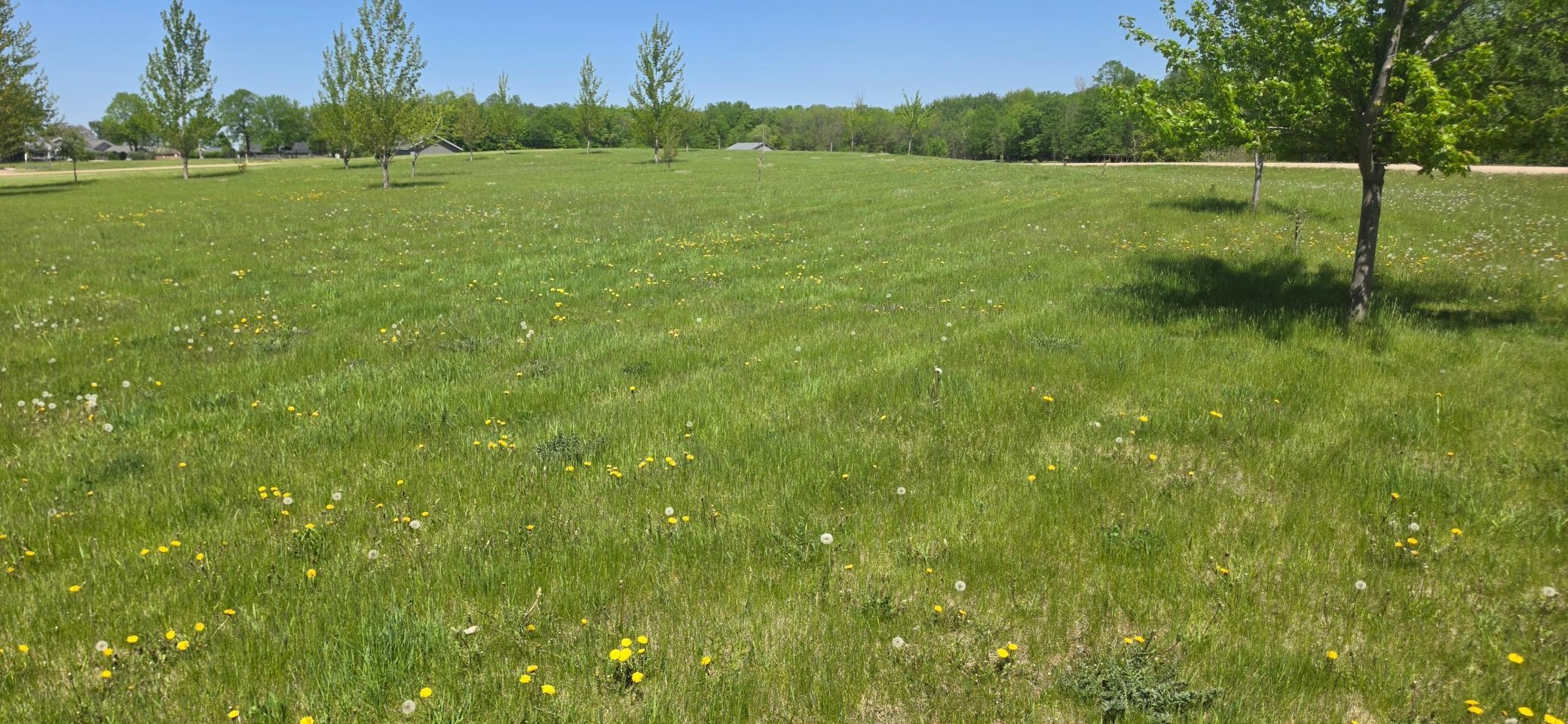 Land in Audubon 4