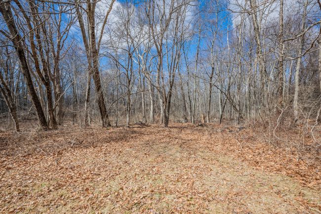 277 Main St N, House other with 2 bedrooms, 1 bathrooms and null parking in Bethlehem CT | Image 31