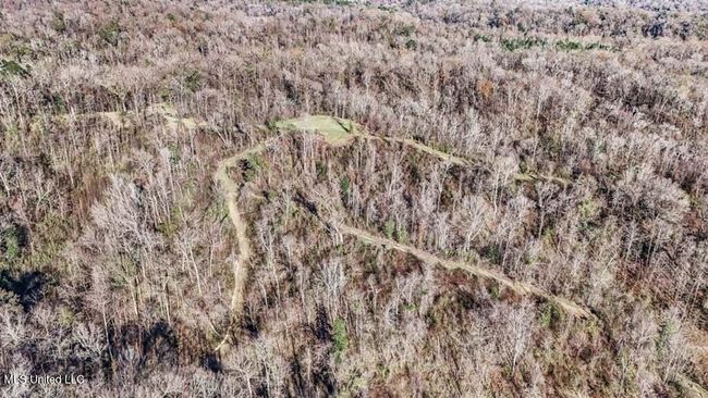 20250707195754461714000000-o | Image 29