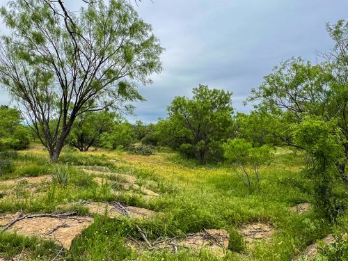 1570 Cr383 Road, Woodson, TX, 76491 | Card Image