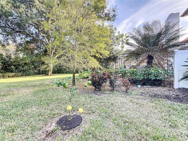 2563 Carter Grove Circle, House other with 5 bedrooms, 4 bathrooms and null parking in Windermere FL | Image 83