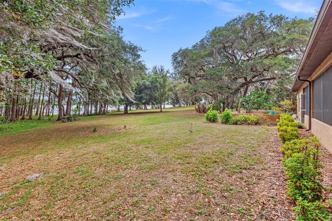 Back yard with view of the lake | Image 6