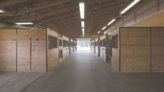 Six 11’ 9” x 12’ stalls with steel gates | Image 6