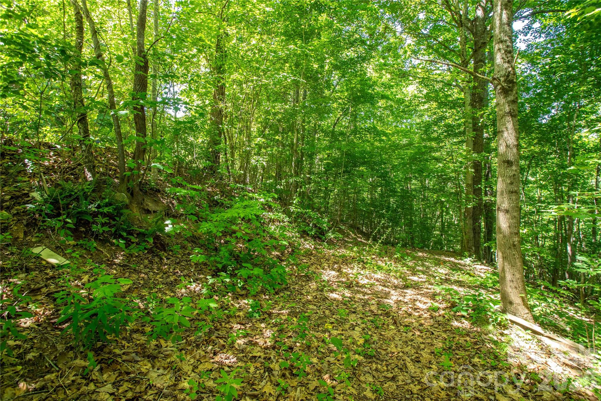 Land in Asheville 2