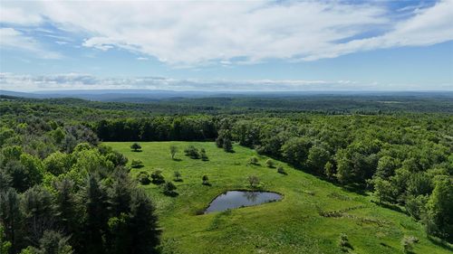 166 Budnick Rd, Parksville, NY, 12768-5111 | Card Image