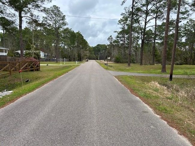 Looking North | Image 17