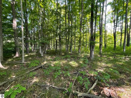 17+/-ACRES Marsh Road, Kingsley, MI, 49649 | Card Image