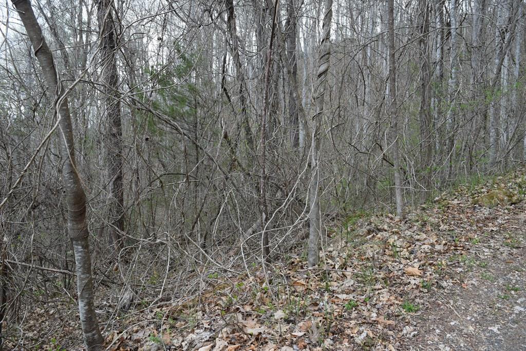 Land in Cullowhee