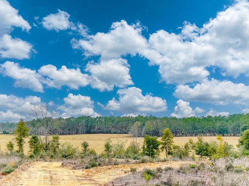 mattox-springs-nw-97-6418 Bryant Bay Rd, Caryville, FL, 32427 | Card Image