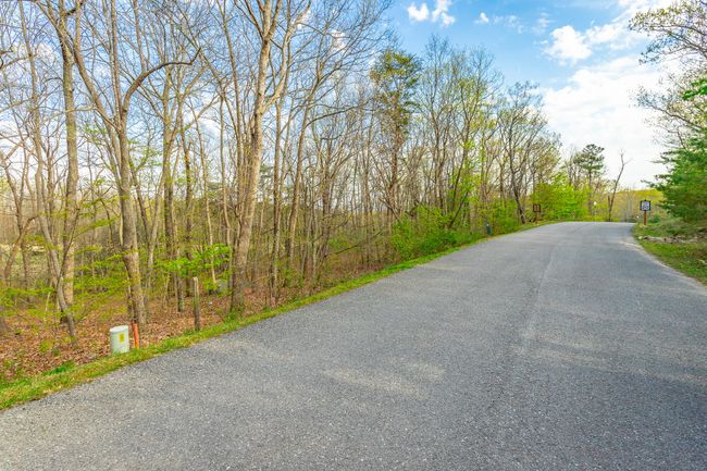 0 Old Rockey Trl, Home with 0 bedrooms, 0 bathrooms and null parking in Rising Fawn GA | Image 10