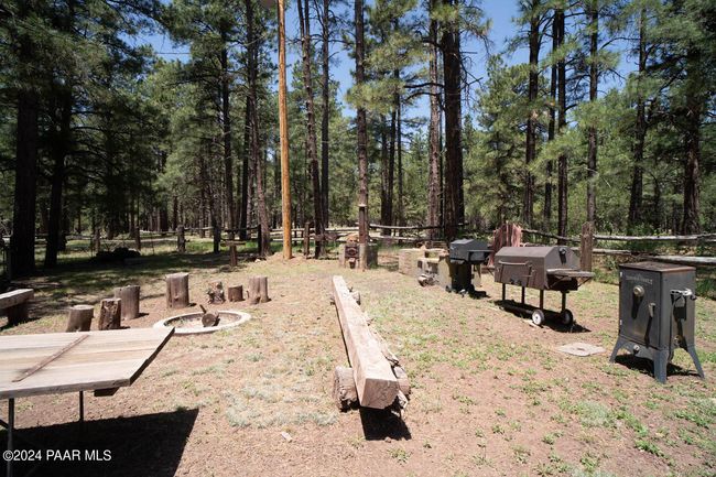 BBQ Area | Image 25